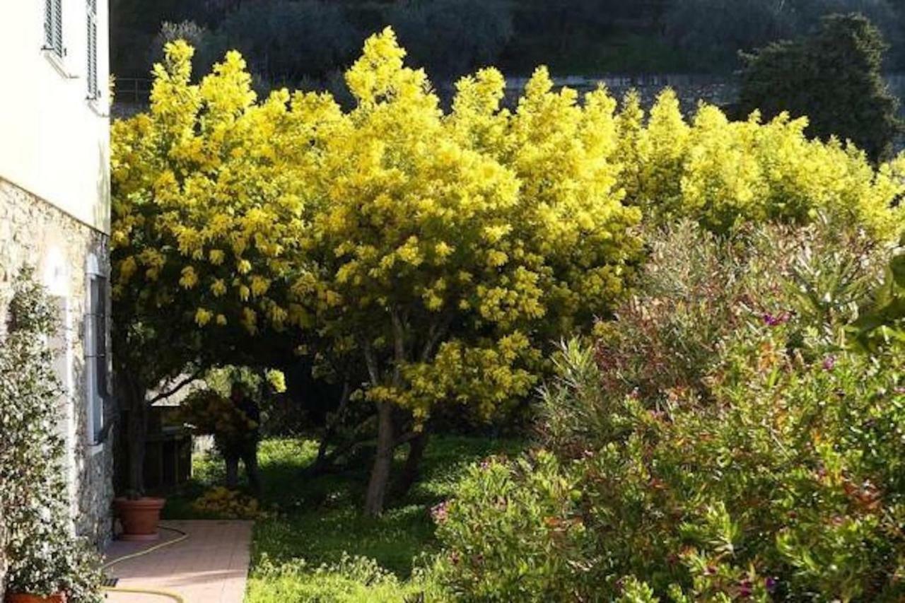 Agriturismo San Michele Di Danio Giovanni Dolcedo Kültér fotó